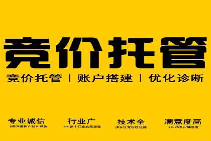 案例解读：SEM托管服务助力企业快速崛起